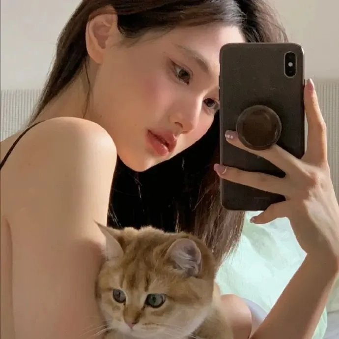 综艺娱乐:明星访谈精彩片段